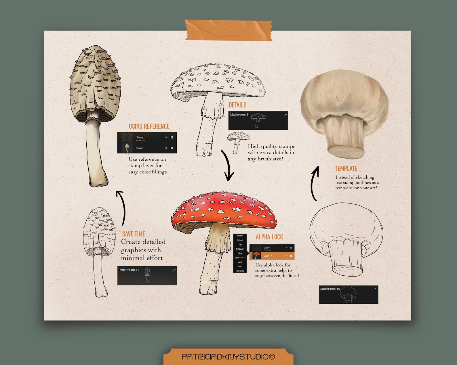 Procreate Mushroom Brushes, Fungi Doodles, Procreate iPad Brushes ...