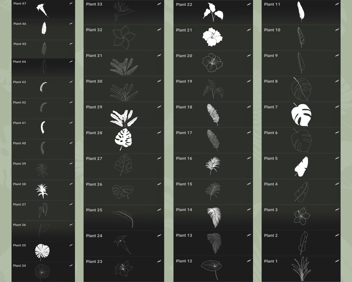 Procreate Stamp Brushes, Procreate Tropical Flower Brushes, Procreate ...