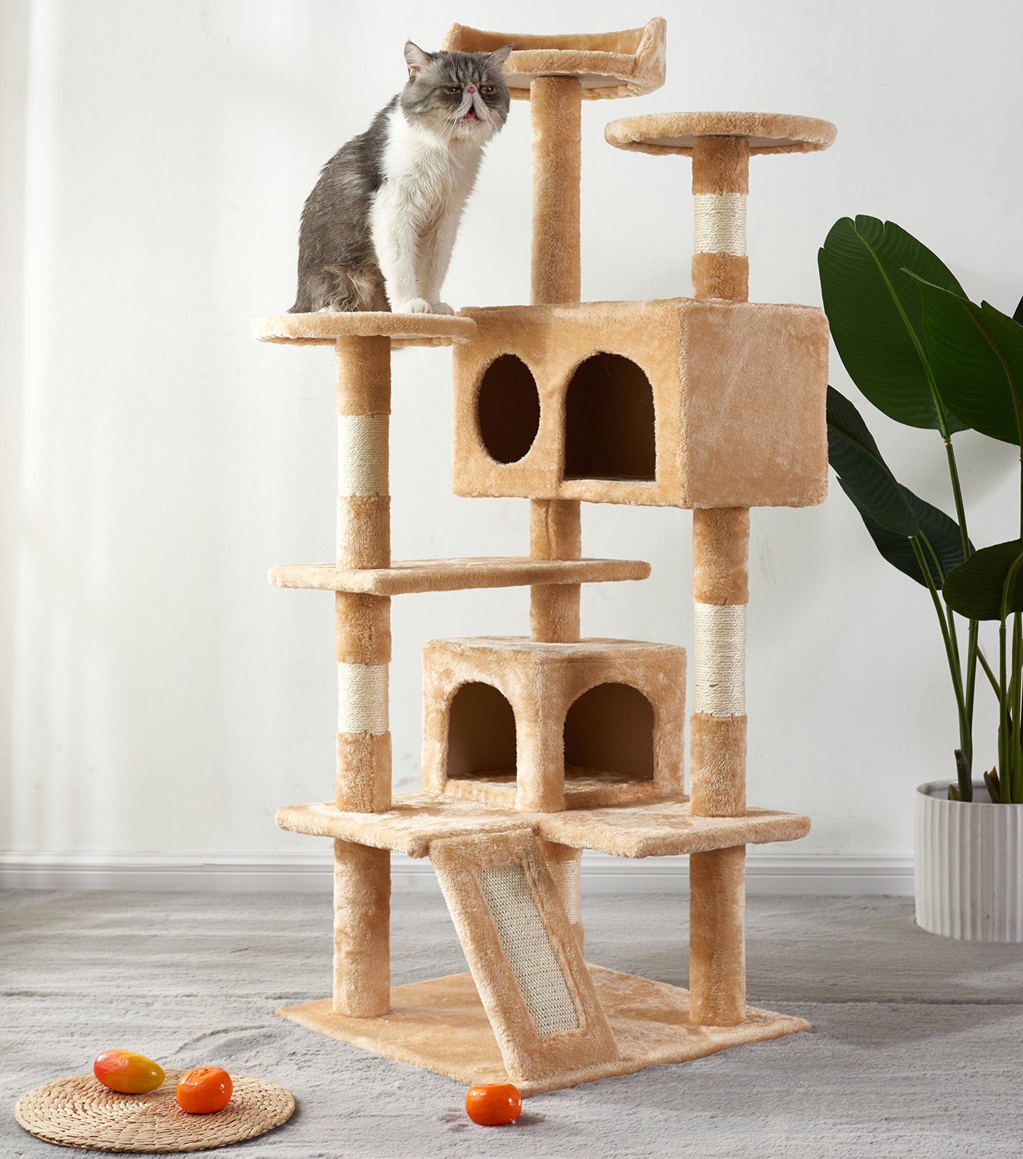 cat climbing frames