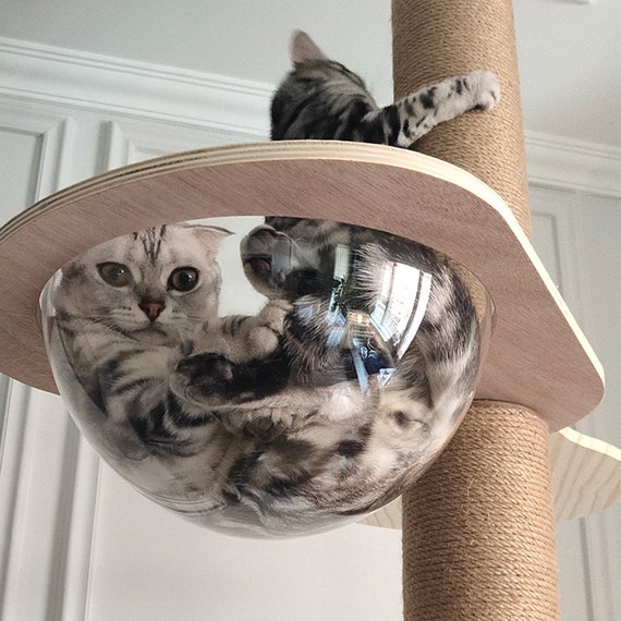 Australsk person Meander definitive Space Capsule-cat Hammock-cat Tree Accessories-cat Resting | Etsy UK