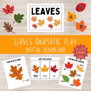 May include: A printable set of educational resources for children featuring leaves. The set includes a title card that says "Leaves", a card with the parts of a leaf labeled, a card with leaves to sort by color, and a card with leaves to sort by letter and number. The set is designed for dramatic play and is a digital download.