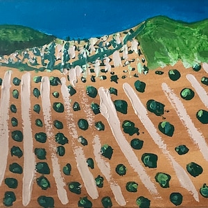 Andalusian Olives
