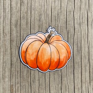 Pumpkin | Water Resistant Vinyl Sticker