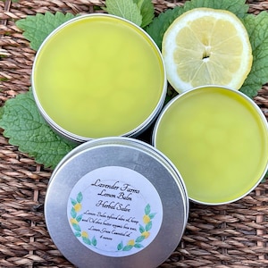 Lemon Balm Herbal Salve: Natural Skin Care, Self Care - 2 oz