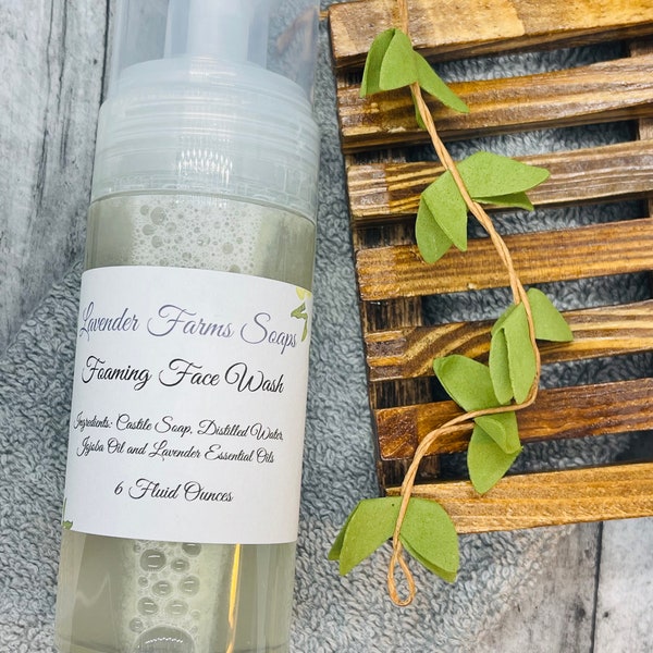 Foaming Face Wash, All Natural Face Wash, Vegan, Paraben Free