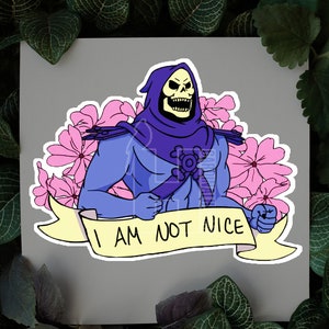 skeletor not nice