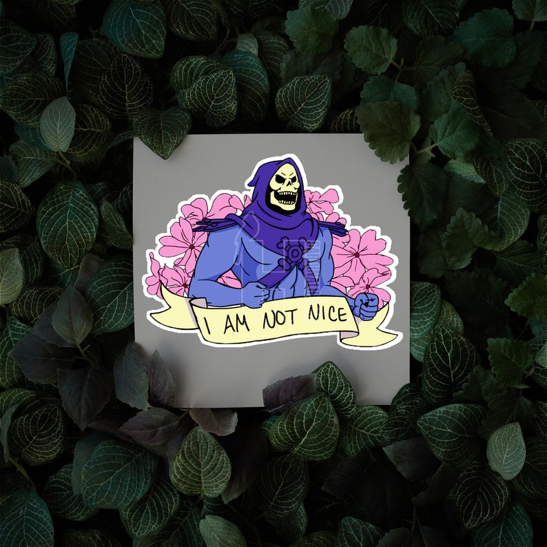 skeletor not nice