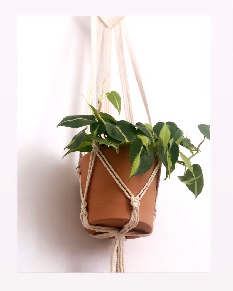 modern plant hanger Wall hanging Plant Hanger Handmade Macrame Plant Hanger Macrame Plant Hanger unique plant display