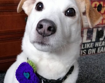 Purple Poppy, Animal War Memorial, Pet Collar Accessory