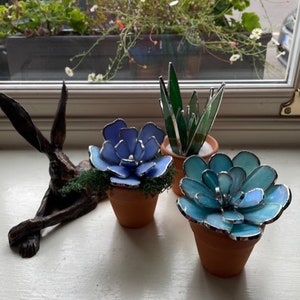 Stained Glass Succulent Plants in mini terracotta pot