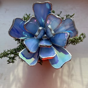 Peut inclure: Une plante grasse en verre coloré dans un petit pot en terre cuite. La plante grasse est faite de verre bleu iridescent avec des accents de feuille d'argent.