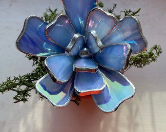 Stained Glass Succulent Plants in mini terracotta pot