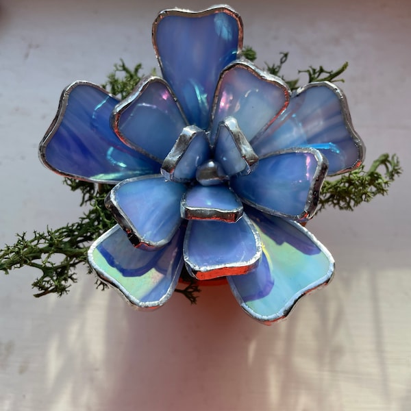 Stained Glass Succulent Plants in mini terracotta pot