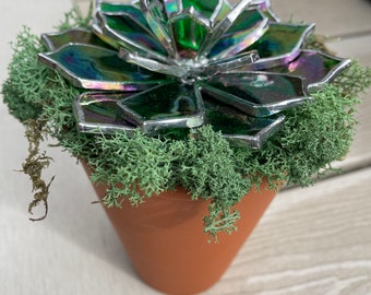 Iridescent Stained Glass Succulent in Terracotta Pot with Reindeer Moss