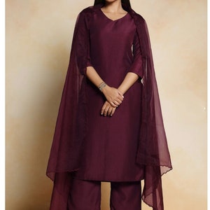 Pakistani Indian Shalwar Kameez with Organza dupatta, Panjabi Plazoo Suit, Fashionable Kurti Pant Set Ensemble, Ideal Ethnic Gift for Her