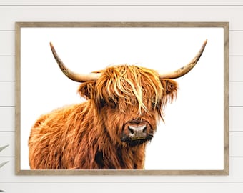 Highland Cow Print, Cow Digital Print, Shaggy Cow Poster, Cow Art Print, Printable Wall Art, Living Room Decor, INSTANT DOWNLOAD