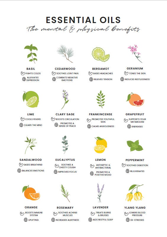 Essential Oils Poster Minimalist Digital Download - Etsy