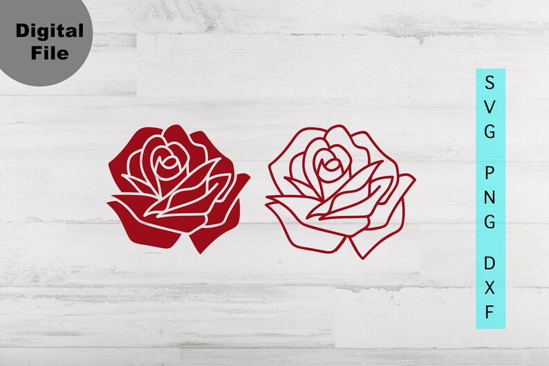 May include: Two line drawings of a rose, one in red and one in white. The roses are stylised and have a simple design.