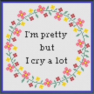 Pretty but I cry a lot PDF pattern, cross stitch pattern, funny cross stitch, snarky cross stitch, birthday gift for best friend