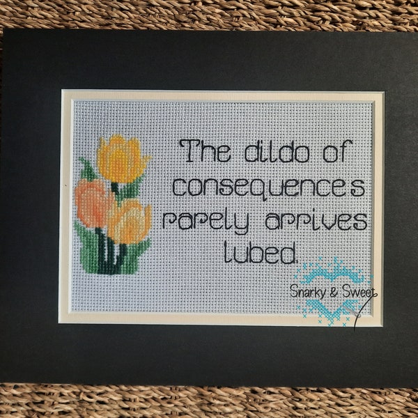 Completed snarky cross stitch, funny consequences stitch, birthday gift for best friend, gift for sister, gift for coworker