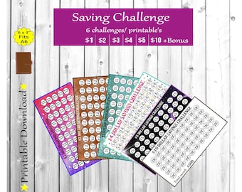 A6 Saving Challenge, 6 printable mini money saving challenge, printable budget binder cash saving envelope challenge, money saving