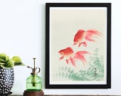 Two Veil Goldfish Print by Ohara Koson, Wall Art Poster Decor