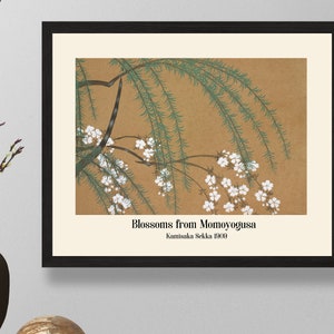 Blossoms from Momoyogusa by Kamisaka Sekka 1909, Vintage Wall Decor Poster