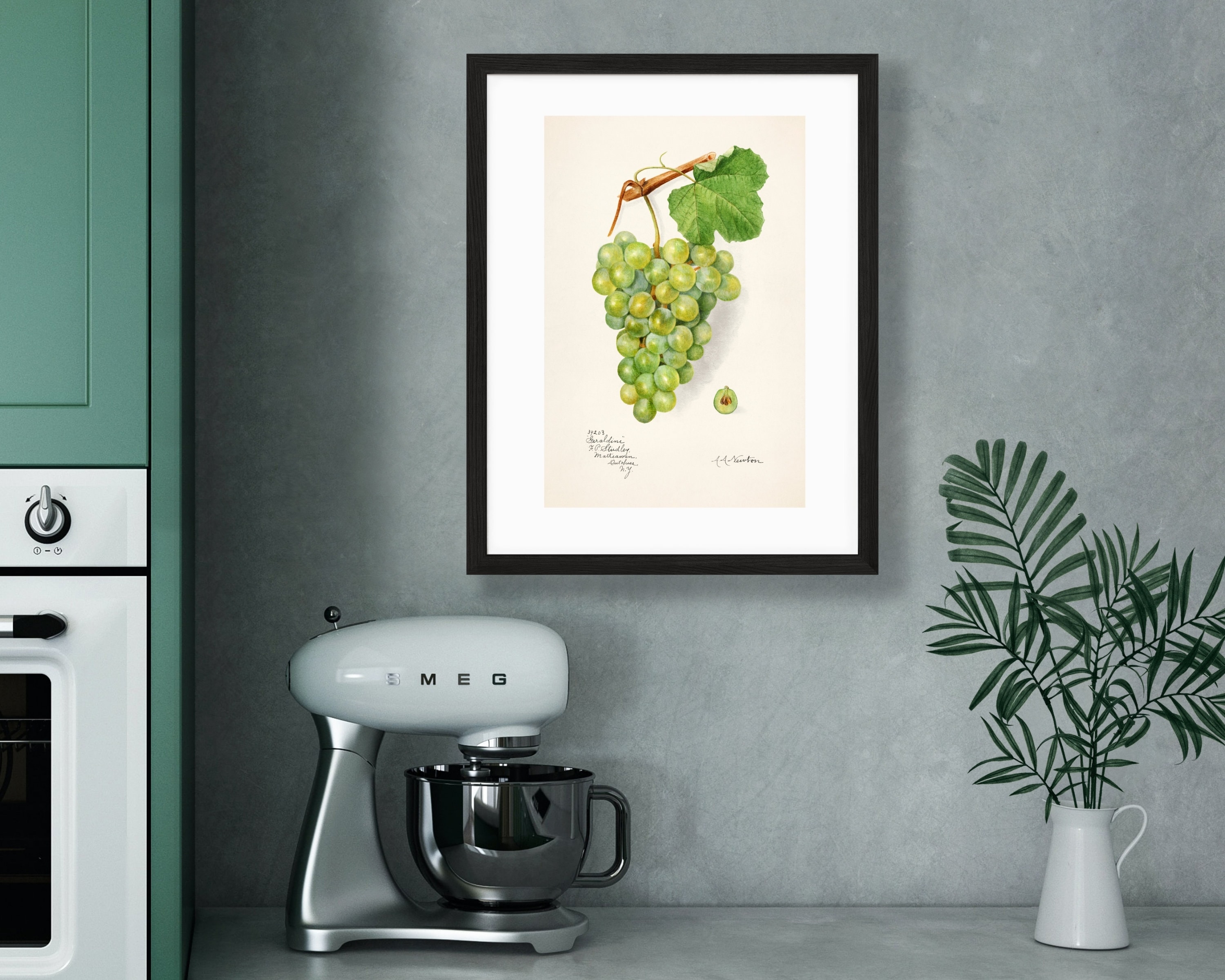 Green Grapes Wall Decor, Vintage Botanical Poster, Kitchen Art - Etsy UK