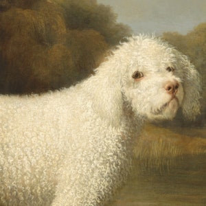White Poodle in a Punt by George Stubbs, Wall Decor Art Poster