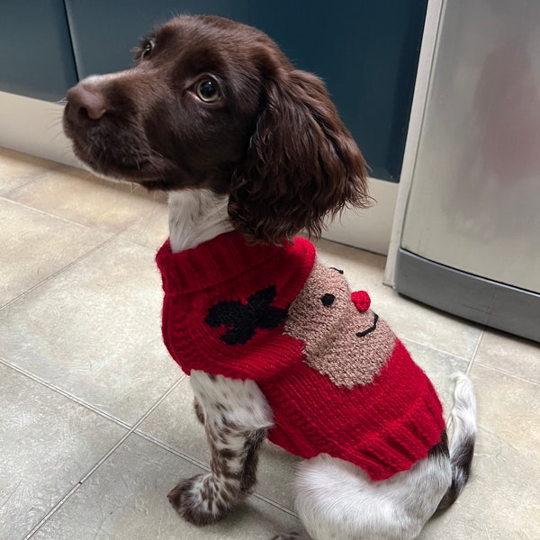 HANDMADE Doggy Reindeer Jumper