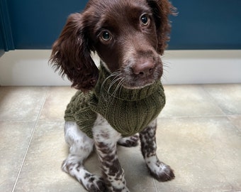 HANDMADE Cable knit jumper for Doggy