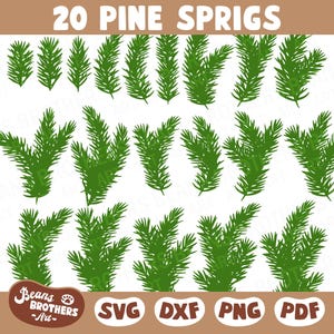 Ramo di pino SVG, rametto sempreverde, aghi di albero invernali, abbellimenti verdi per le vacanze di Natale + PNG DXF Cricut Cut File Canva Clipart