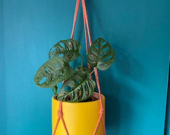 Macrame Plant Hanger with Lightweight Cork Pot, Smooth Grain Faux Leather Covering & Chunky Cotton Cord