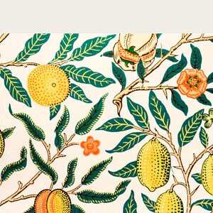 Puede incluir: Un patr&oacute;n sin costuras con un dise&ntilde;o repetitivo de hojas verdes, c&iacute;tricos naranjas, limones amarillos y flores rosas sobre un fondo blanco.
