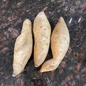 Okinawa~Khoai Lang~Purple Sweet Potatoes~Small or Large tubers~1-2 Lbs -Different sizes available