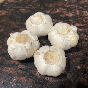 Softneck Garlic (3/5) Bulbs California Organic for Consumption or Planting