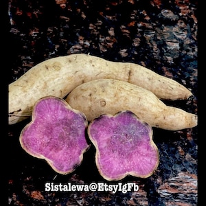 Okinawa Purple Sweet Potatoes: Khoai Lang Tubers~Small/Large or (1-3 Lbs)