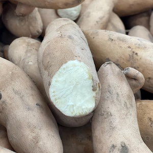 May include: A close-up of a pile of tan sweet potatoes. One sweet potato has been cut in half, revealing the white flesh inside.