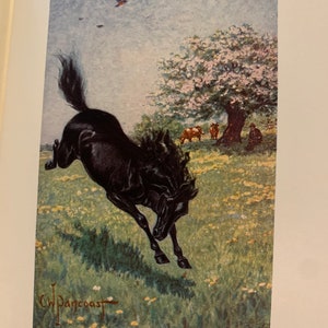 Black Beauty Anna Sewell 1907 Illustrated Rare Antique Book image 9