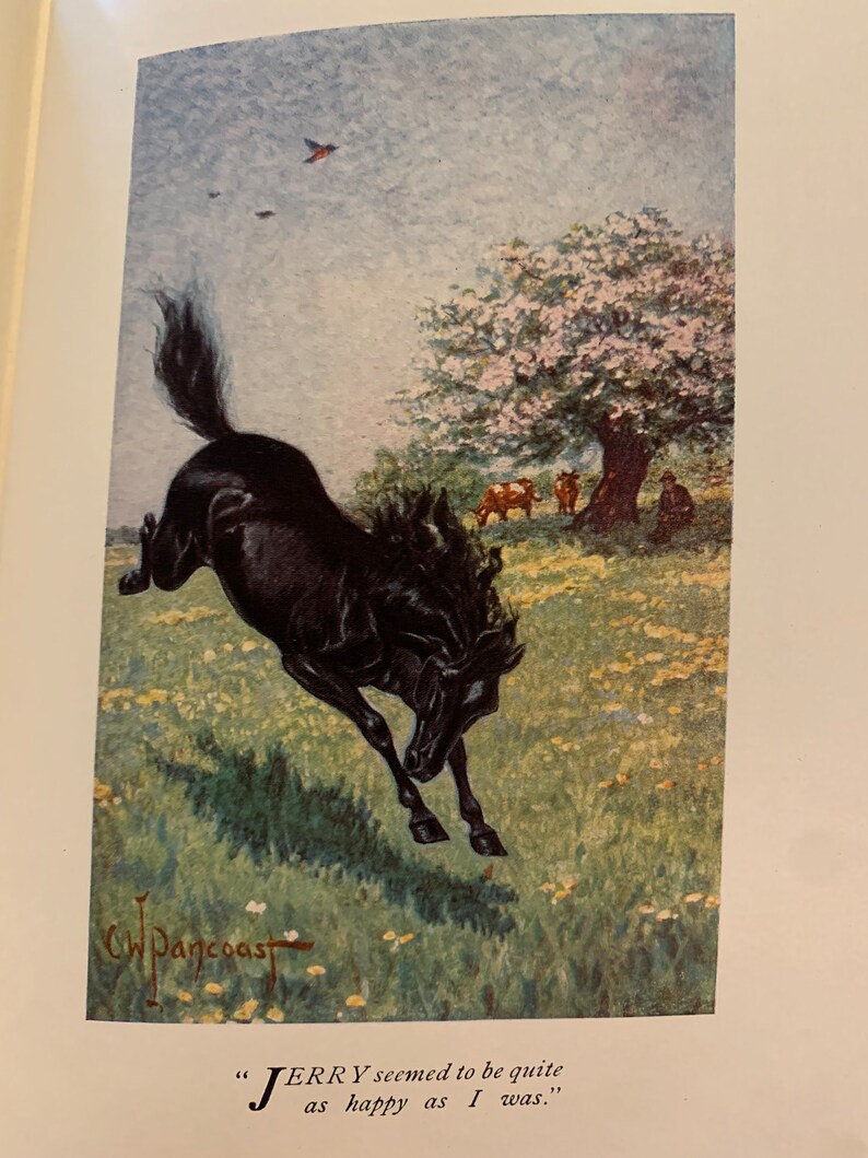 Black Beauty Anna Sewell 1907 Illustrated Rare Antique Book image 9