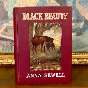 Black Beauty Anna Sewell 1907 Illustrated Rare Antique Book image 1
