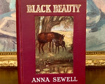 Black Beauty - Anna Sewell (1907) - Illustrated - Rare Antique Book