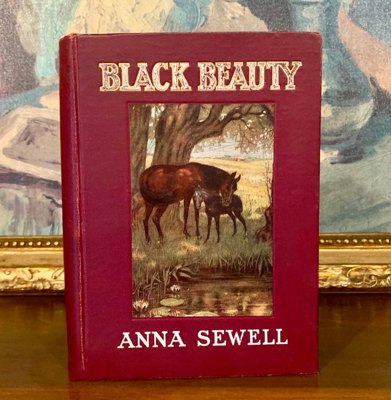 Black Beauty Anna Sewell 1907 Illustrated Rare Antique Book image 1