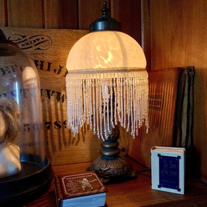 Exquisite Victorian Lamp with Frosted Slag Glass Beaded Fringe Lampshade