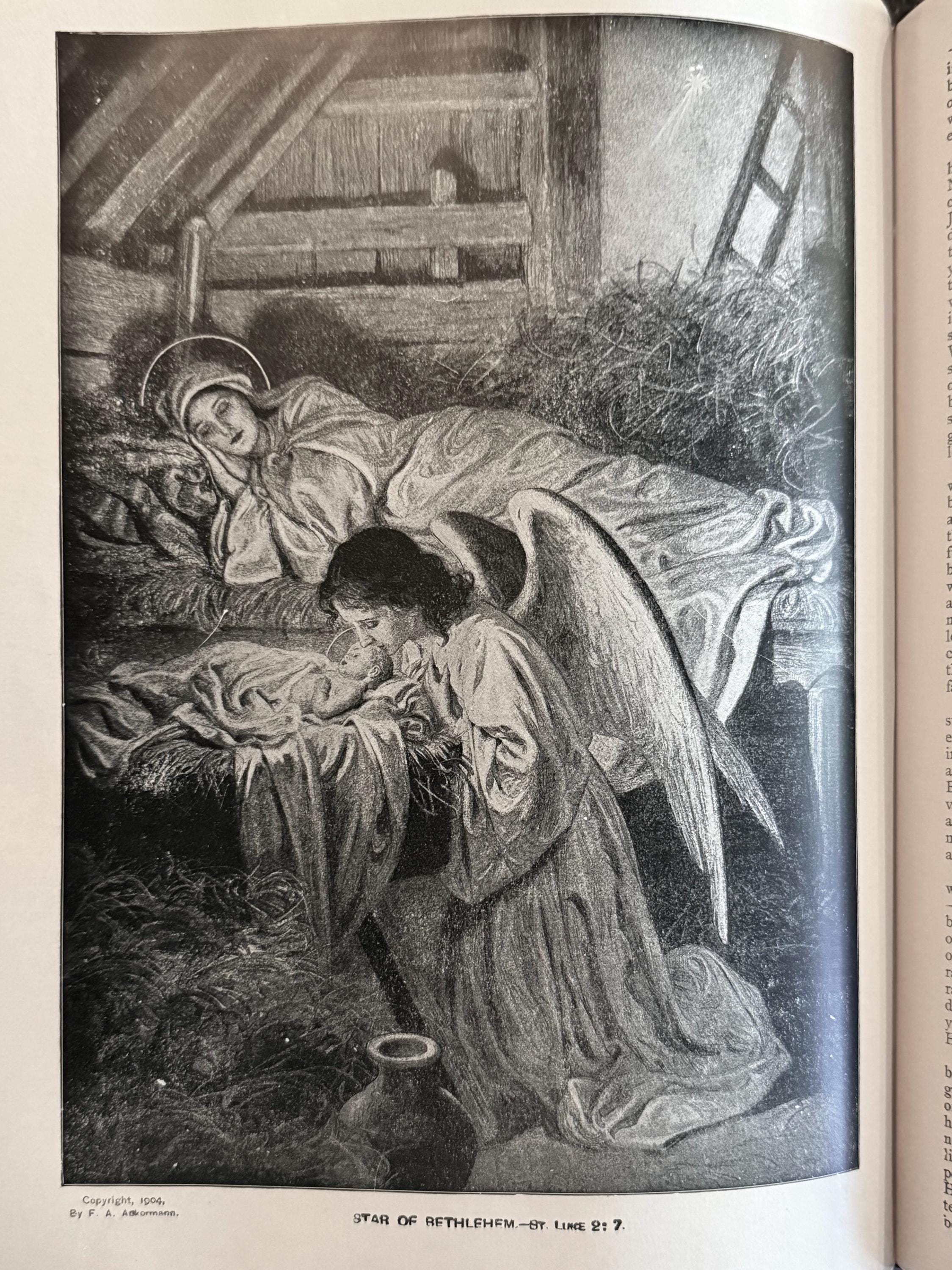 聖書　フリーメーソン 古書 1949年 フリーメーソン聖書：欽定訳聖書、革装本（イラスト入り