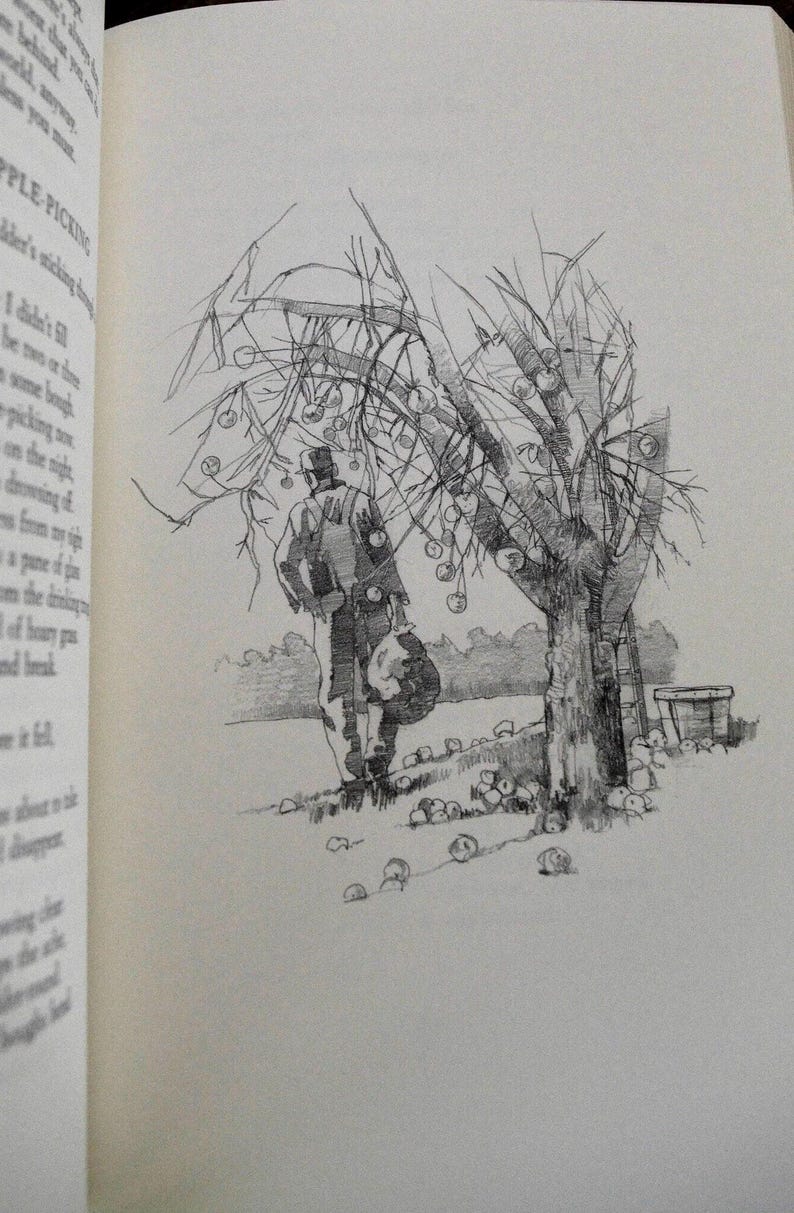 A black and white pencil drawing of a person with a hat and a bag walking away from a tree with apples on it. The person is walking away from the viewer and the tree is in the background. There are apples on the ground around the tree.