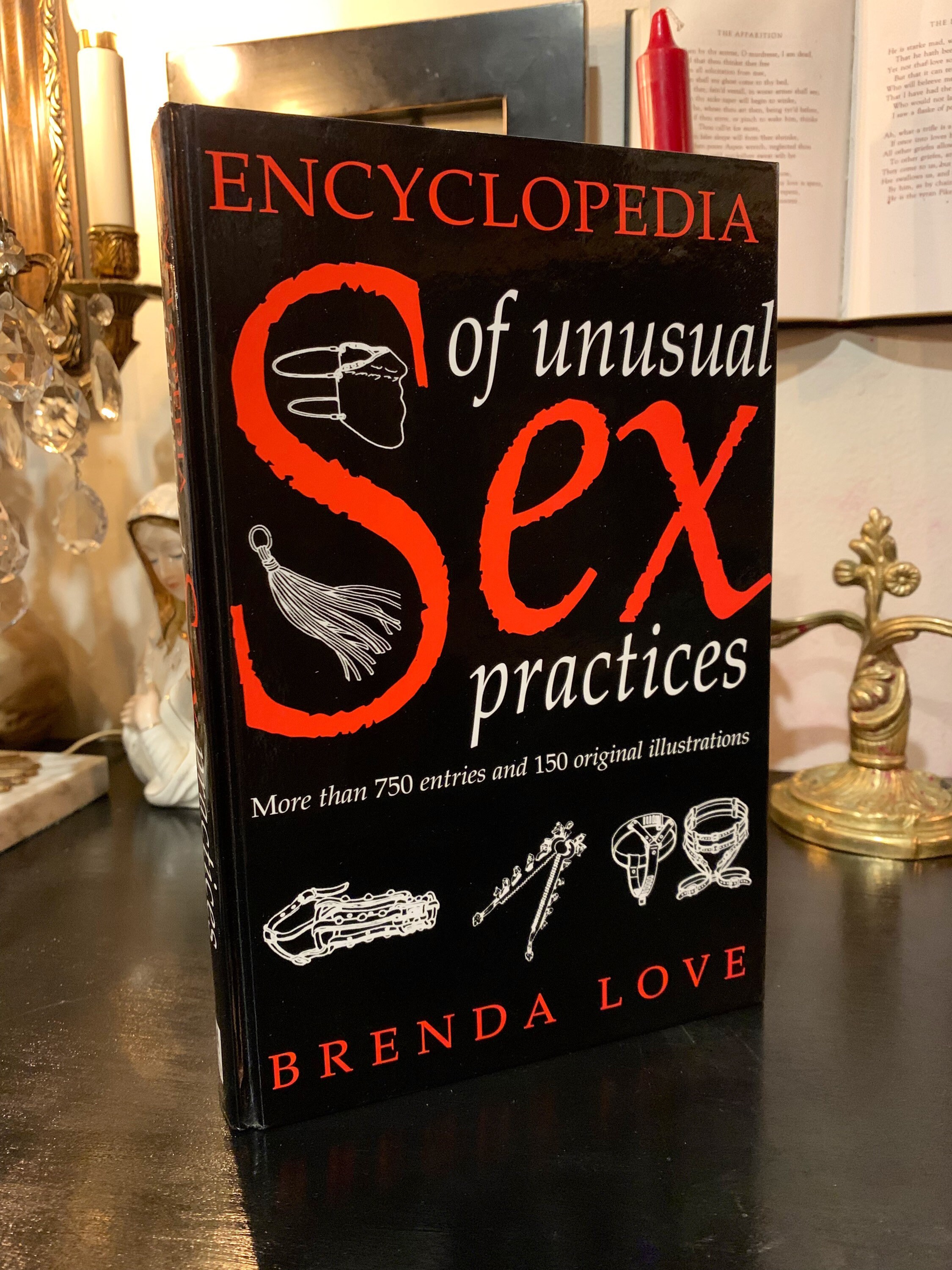Encyclopedia Of Unusual Sex Practices Brenda Love Vintage Etsy