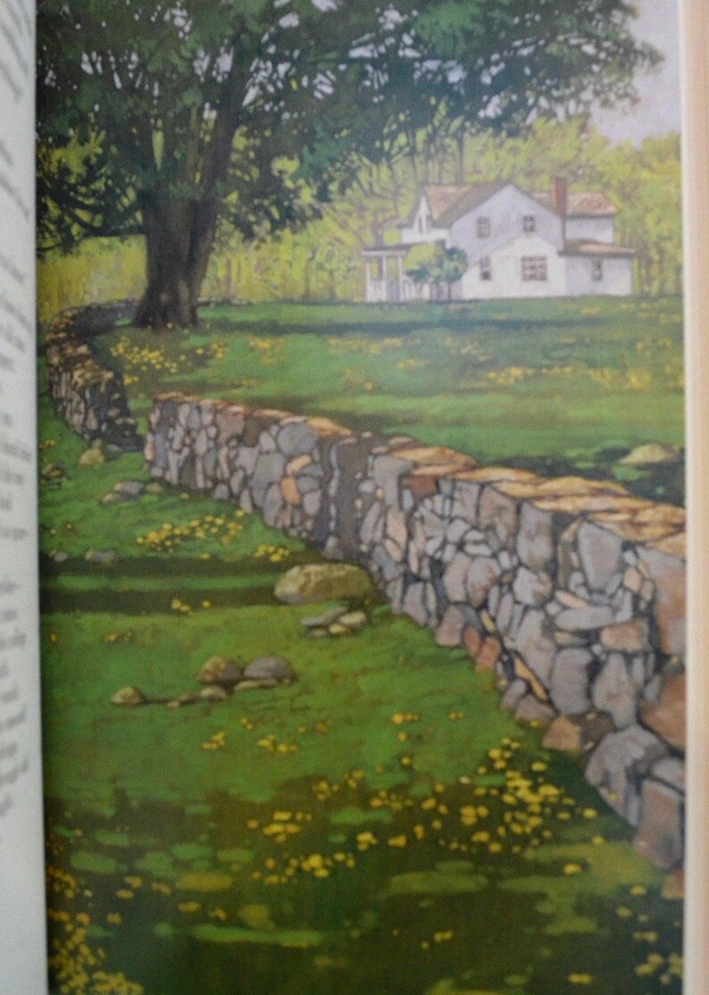 Am illustration of a stone wall curves around a grassy field with a white house in the background. The wall is made of gray and brown stones. The grass is green and there are yellow flowers scattered throughout. The house is two stories and has a white roof. There are trees in the background.