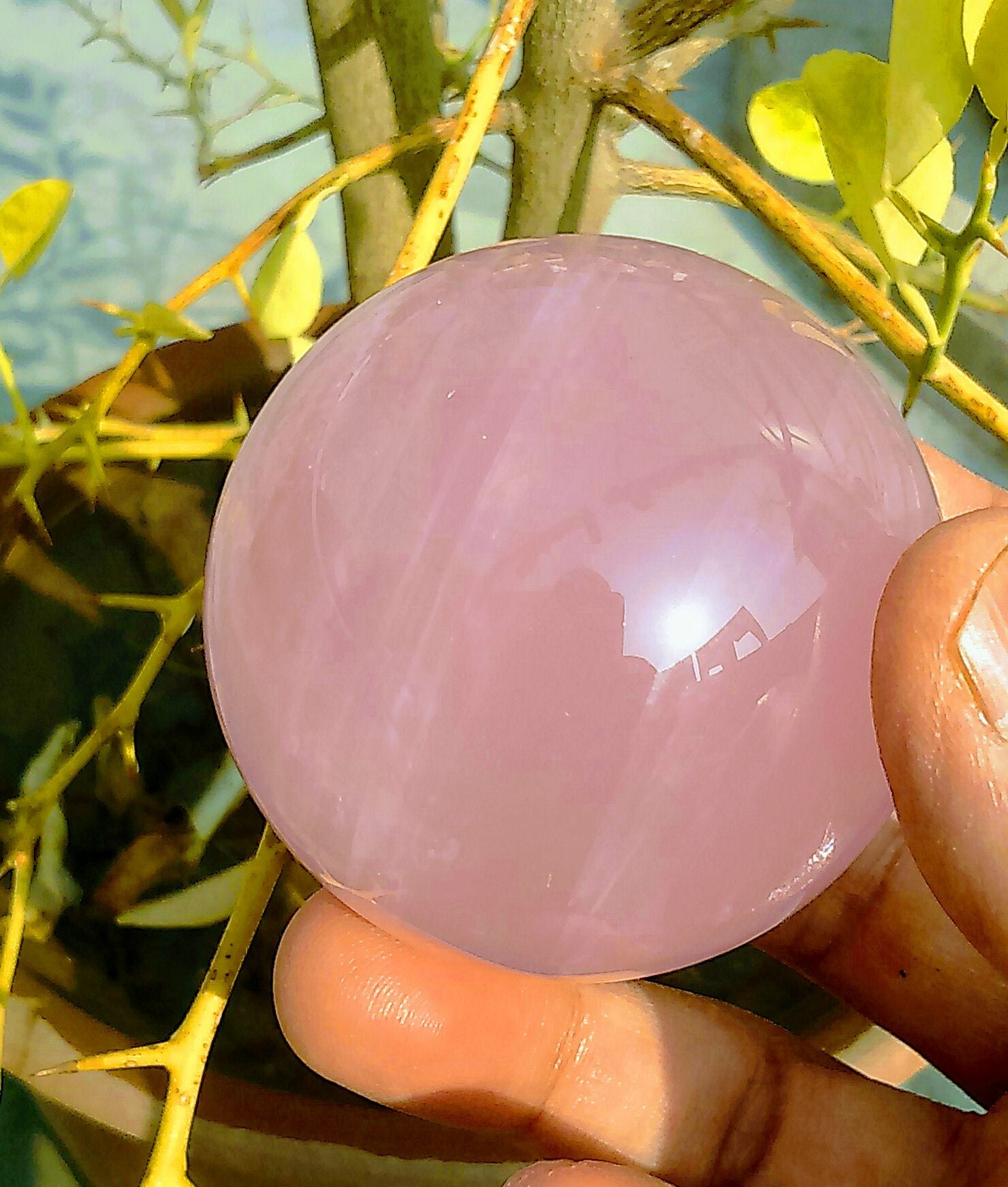 ROSE QUARTZ SPHERE high quality rose quartz all star rose Etsy
