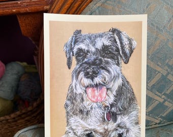 Postkarte Hund „Schnauzer“